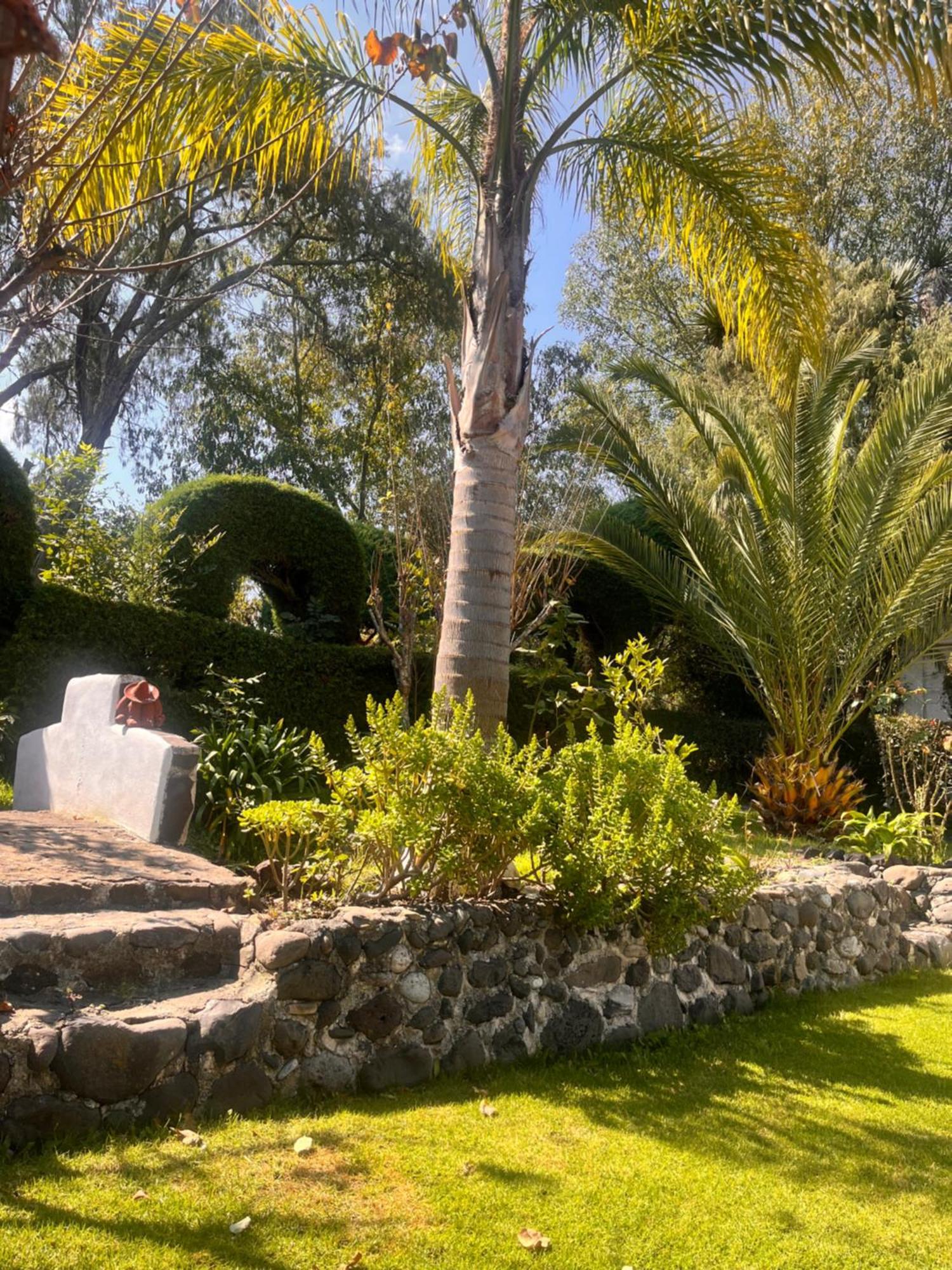 Cabanas Cumbres De Aguacatitla Уаска-де-Окампо Екстер'єр фото