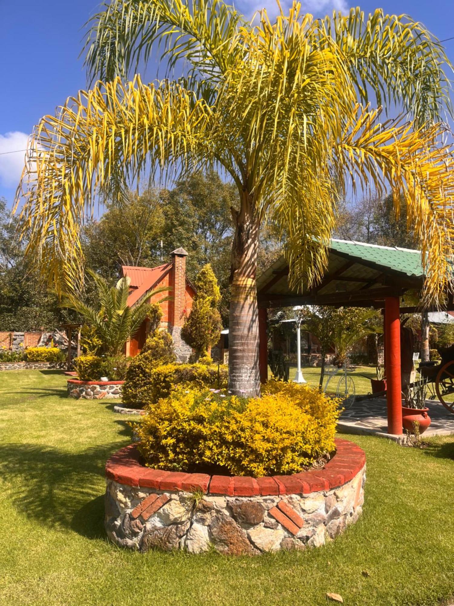 Cabanas Cumbres De Aguacatitla Уаска-де-Окампо Екстер'єр фото