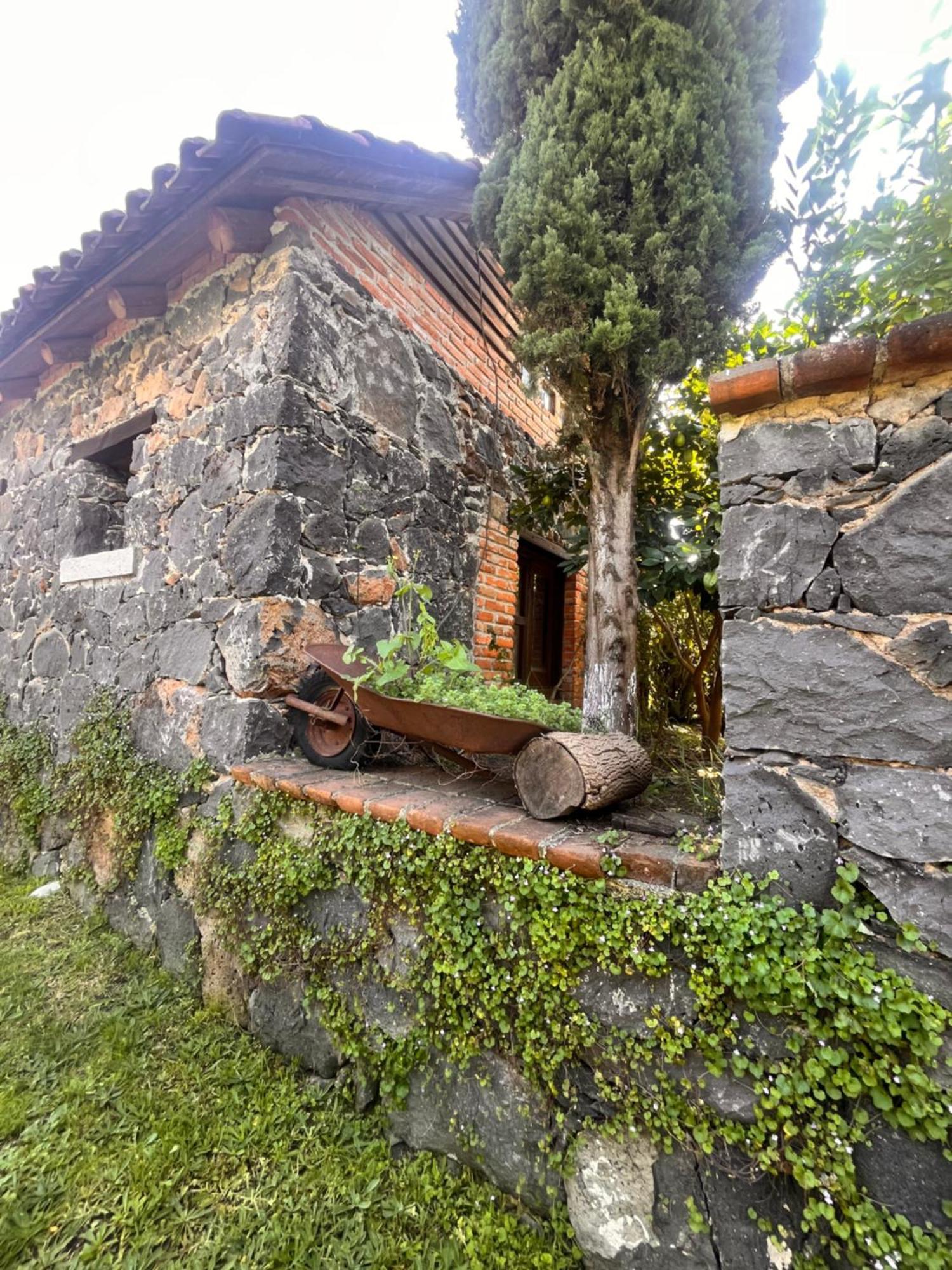 Cabanas Cumbres De Aguacatitla Уаска-де-Окампо Екстер'єр фото