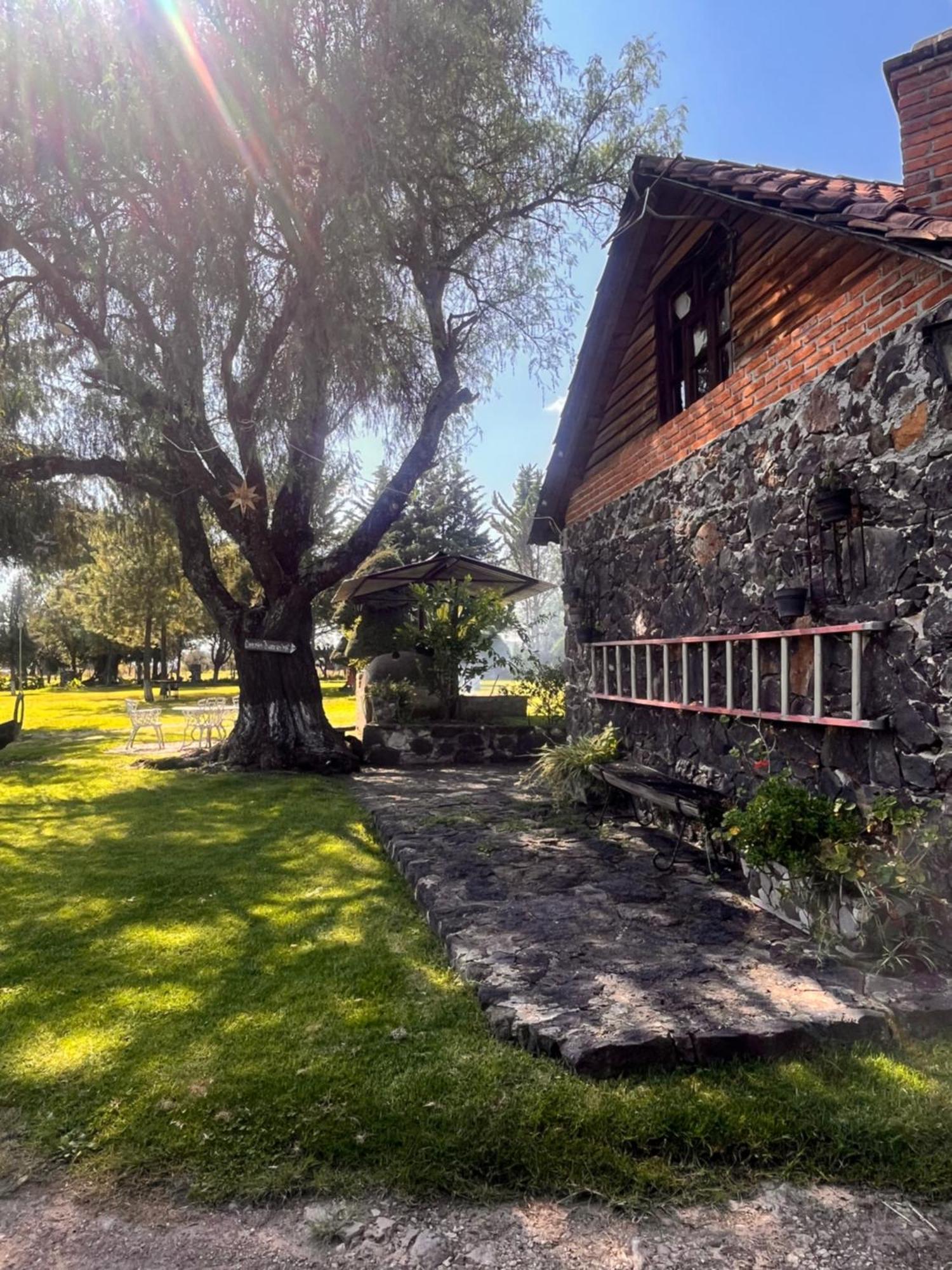Cabanas Cumbres De Aguacatitla Уаска-де-Окампо Екстер'єр фото